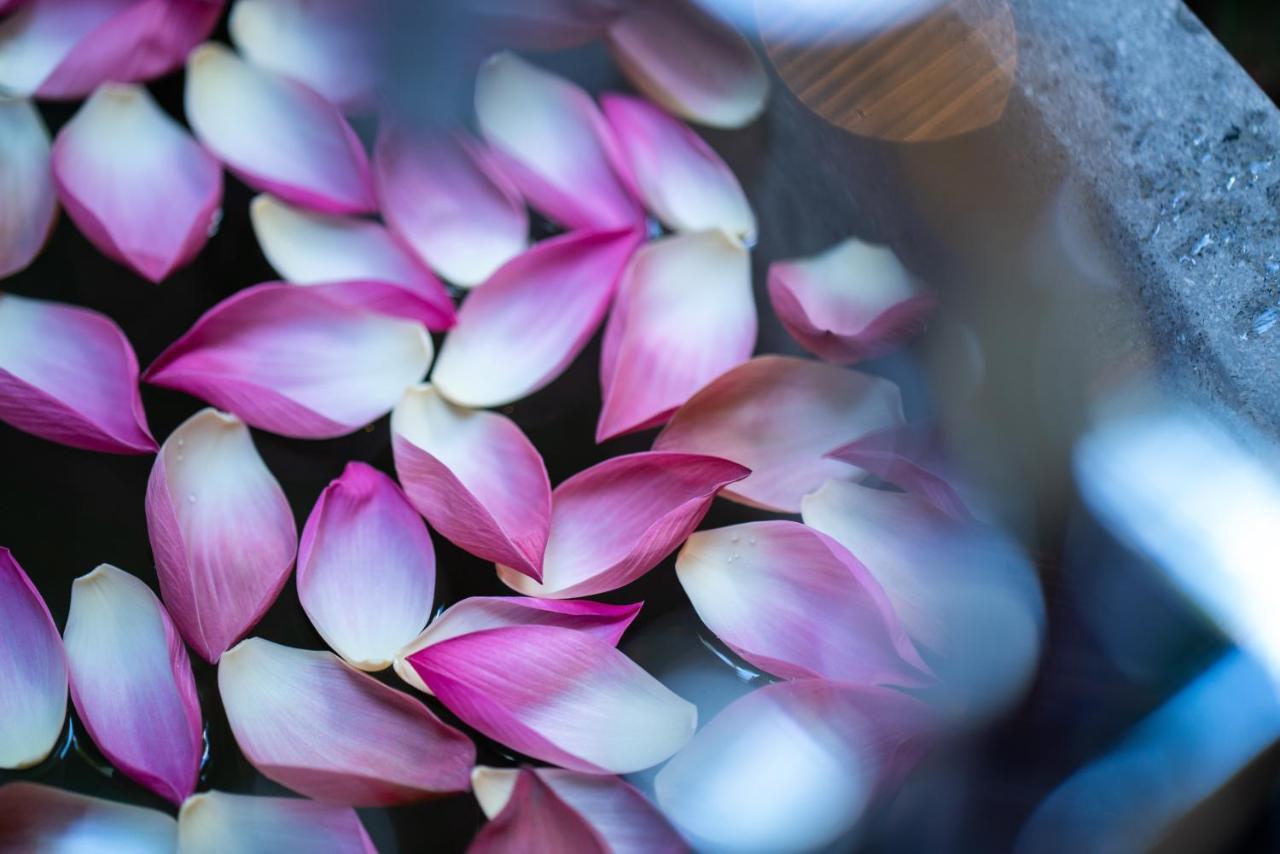 Shintana Saya La Maison シェムリアップ エクステリア 写真 Lotus petals